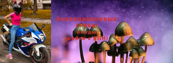 марки lsd Пересвет