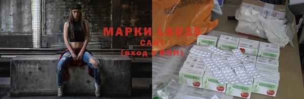 крисы Осташков
